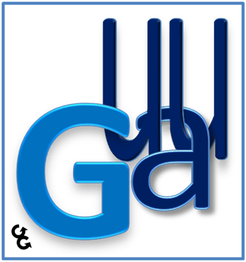 GUAU Corporation Kopp Opinion Risk Innovation Governance